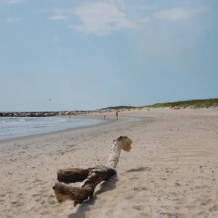 Ferienhaus Degnevangen Xi